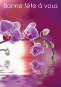 Orchid&eacute;es en f&ecirc;te pour un jour sp&eacute;cial